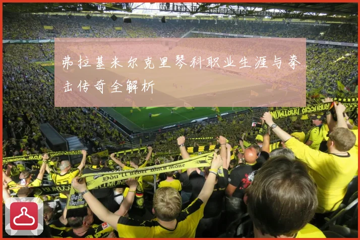 弗拉基米尔克里琴科职业生涯与拳击传奇全解析