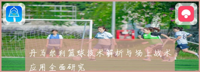 丹马尔利篮球技术解析与场上战术应用全面研究