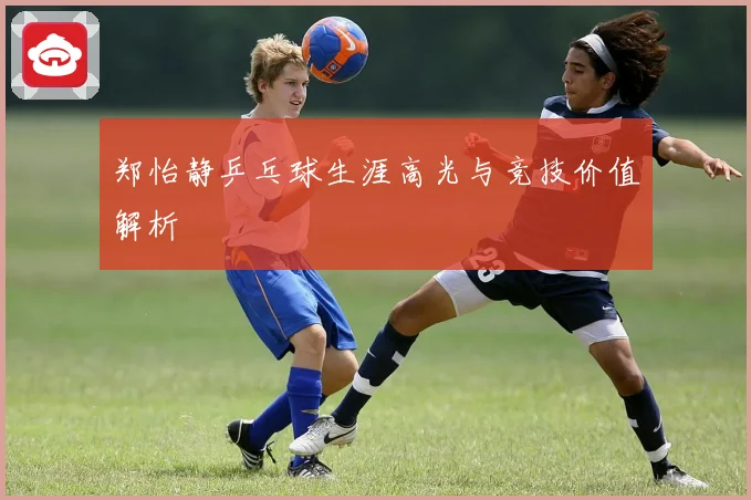 郑怡静乒乓球生涯高光与竞技价值解析