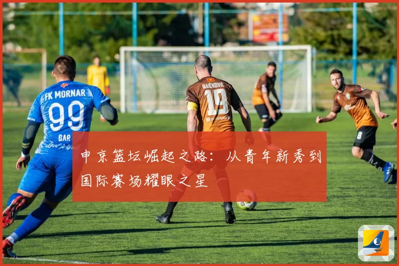 申京篮坛崛起之路：从青年新秀到国际赛场耀眼之星