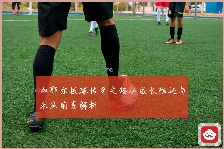 加耶尔板球传奇之路从成长轨迹与未来前景解析