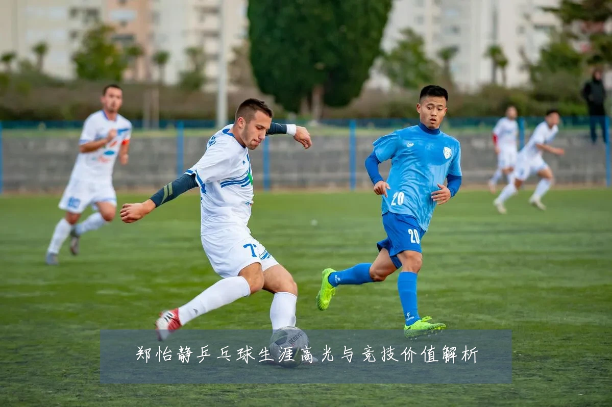 郑怡静乒乓球生涯高光与竞技价值解析